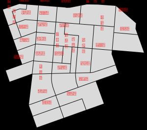 신싱 구의 마을 지도