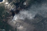 미국 항공 우주국(NASA)의 위성 사진 (2월 3일)