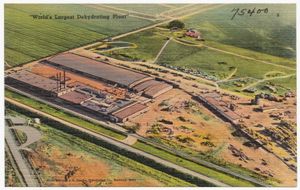 콜드웰, 아이다호에 있는 심플롯 공장의 모습 (1930~1945년경). 이미지 캡션에는 "세계 최대의 탈수 공장"이라고 적혀 있다.