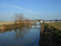 포장 정비로 직선적인 수로가 정비되었다(사가시 고세마치)