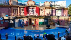 바다사자 및 수달 원형극장 전시