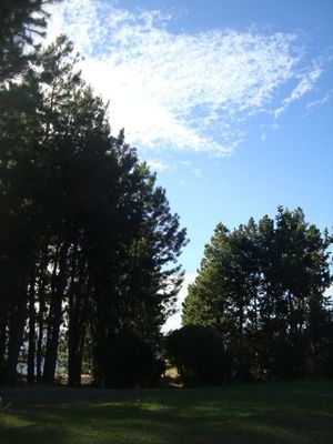 산티아고 마리뇨 자치구 투메로의 란초 아부 한나