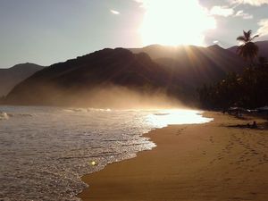 플라야 그란데(그란데 해변), 초로니