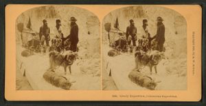 입체 사진 1893년 콜럼비아 박람회의 그릴리 탐험대 전시회