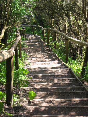 Veilchentreppe 계단