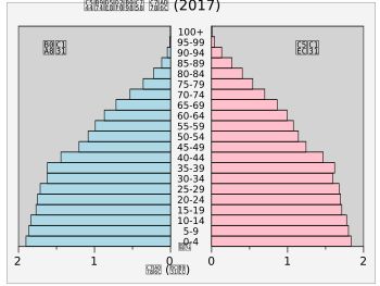 2017년 아르헨티나의 인구 피라미드