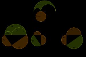 아르벨로스 증명