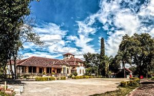 독일 문화원 헤르만 뮐러 카리오바