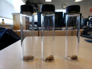 2019년 상업선박에서 발견된 알집.