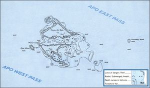 서부 민도로에 있는 아포 리프의 리프 시스템