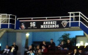 밴쿠버 자이언츠의 명예의 전당에 있는 메사로시의 배너