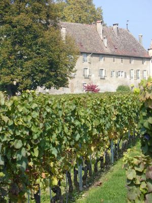 알라망성의 바닥