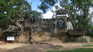 사이클론 지오반나가 2012년 2월에 17세기 베바토 구역의 신성한 무화과나무를 뿌리째 뽑았다.