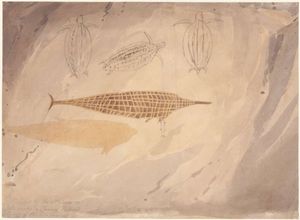 윌리엄 웨스톨 (1803) 틈새 섬, 원주민 동굴 그림, 1803, 수채화