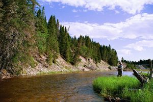 윌 강의 연어 낚시꾼