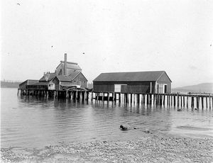 로빈슨 어업 회사 비료 공장