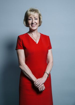 2017년 2017년 영국 총선에서 재선된 후 리드섬의 공식 의회 초상화