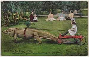 에드워드 H. 미첼, 캘리포니아 악어 농장의 "조이 라이드", 캘리포니아 로스앤젤레스, 1910년대 경