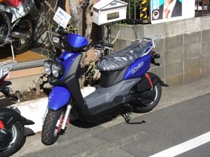 2013년 모델