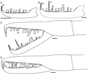 <i>Jaekelopterus</i>의 발톱 그림