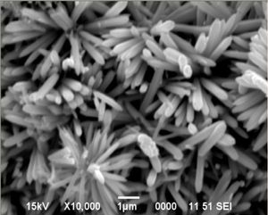 다양한 직경과 네트워크 밀도 및 토폴로지를 가진 유사한 ZnO 멀티포드 모양 템플릿은 에어로그래파이트 증착에 사용됩니다.