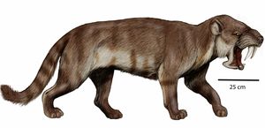 생물 복원도 E. adelos