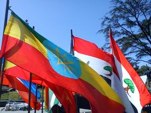 에티오피아의 국기 및 지역 깃발