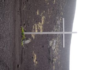 1973년 분화 이후 엘드펠 기슭에 세워진 십자가