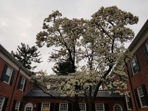 스털링 신학 사변형 안뜰