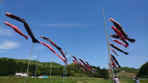 교토탄고오미야IC 부근의 잉어 깃발