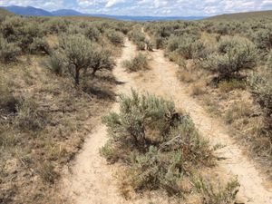 현재 베이커 시티, 오리건 동쪽 국립 역사 오리건 트레일 해석 센터 근처의 오리건 트레일 자국을 따라가는 오솔길