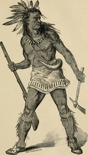 1879년 일리노이 주 역사에 묘사된 폰티액