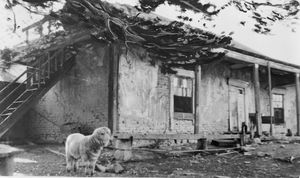 1841년 캘리포니아의 목장주이자 군인이었던 호아킨 모라가가 자신의 란초 라구나 데 로스 팔로스 콜로라도스에 지은 모라가 아도비