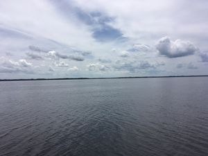 오세올라 군에서 가장 큰 호수인 토호페칼리가 호수