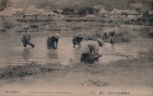 오시마 츠무기 염색 재료