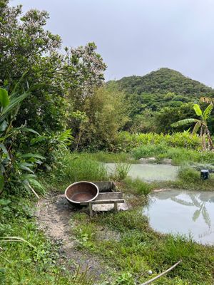 카나이 공방의 진흙 염색 논