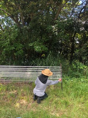 실을 이기스로 접착하여 늘여 시메바타를 준비하는 노리바리 공정