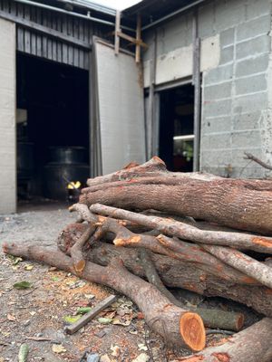 오시마 츠무기 염료로 가공될 준비가 된 잘린 테치기 나무