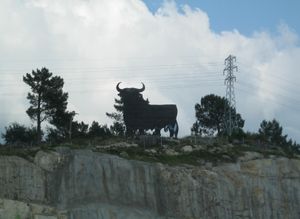 폰테 삼파이오의 오스본 황소, 폰테베드라