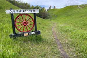 오코톡스에 있는 올드 매클로드 트레일의 이 부분은 마차, 역마차 및 말을 타는 사람들이 쉽고 편하게 십 리버 밸리의 북쪽 절벽으로 올라갈 수 있게 해주는 협곡을 통과했다.