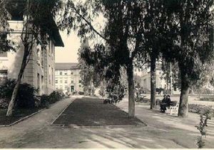 1920년대의 옥시덴털 칼리지