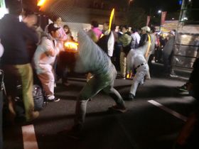 오타게 동작 중 하나인 「로망스」를 하는 팬