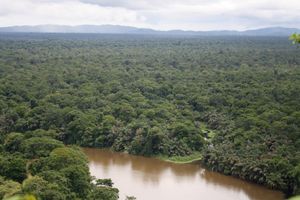 토르투게로 국립공원, 이 종이 발견되는 곳 (코스타리카)