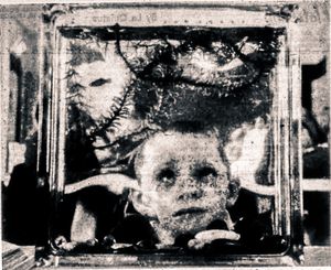 올 세인츠 데이 스쿨의 창립반 학생인 티모시 메식(Timothy Messick)이 수족관을 들여다보는 모습. 1961년 9월 30일 몬터레이 반도 헤럴드