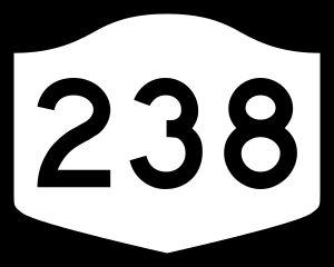 뉴욕주도 제238호선