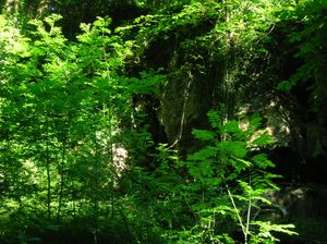 클리브스 코브 동굴 시스템의 입구 중 하나. 베시 던롭 이야기 속 "요정의 집"으로 알려져 있다.