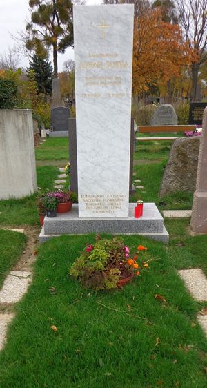 보타의 묘, 빈 중앙 묘지