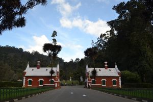 우다가만달람 식물원