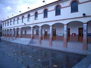 빈센테 라세토 박물관