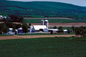 버지니아주 워싱턴 군의 농장